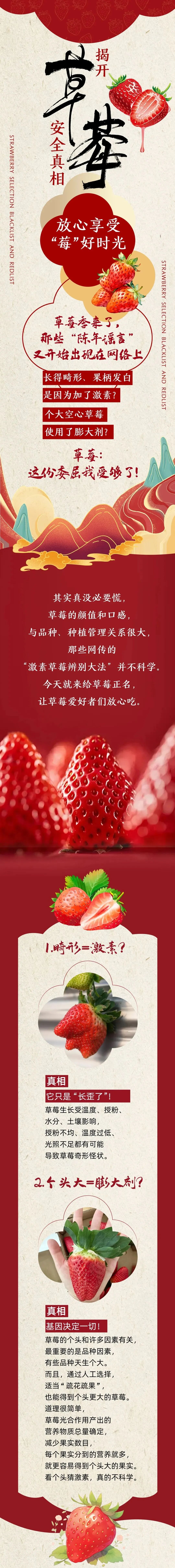 关于草莓的真相，你不放心的一次讲清(1)