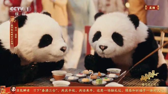 春晚“带货”新物种：具身机器人何以被疯抢(2)
