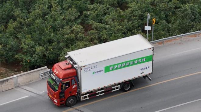 穿高定、吃大餐、做发型，小象超市如何将耙耙柑宠成“枝头鲜”？(3)