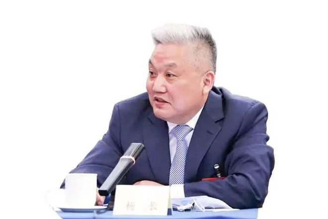 全国政协委员杨成长谈引导“长钱”入市: 创新、创新、不断创新(2) 全国政协委员杨成长谈引导“长钱”入市: 创新、创新、不断创新(2)