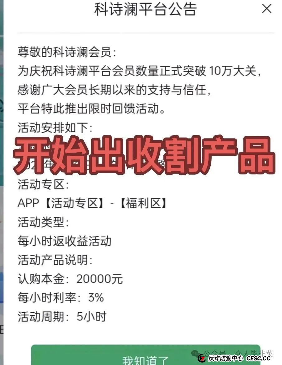 一个“科诗澜”受害者的自述:从2万到倾家荡产,我只用了7天