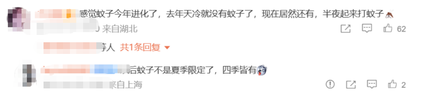 北京雪地惊现蚊子爬行,蚊子出现抗寒性了?(2) 北京雪地惊现蚊子爬行,蚊子出现抗寒性了?(2)