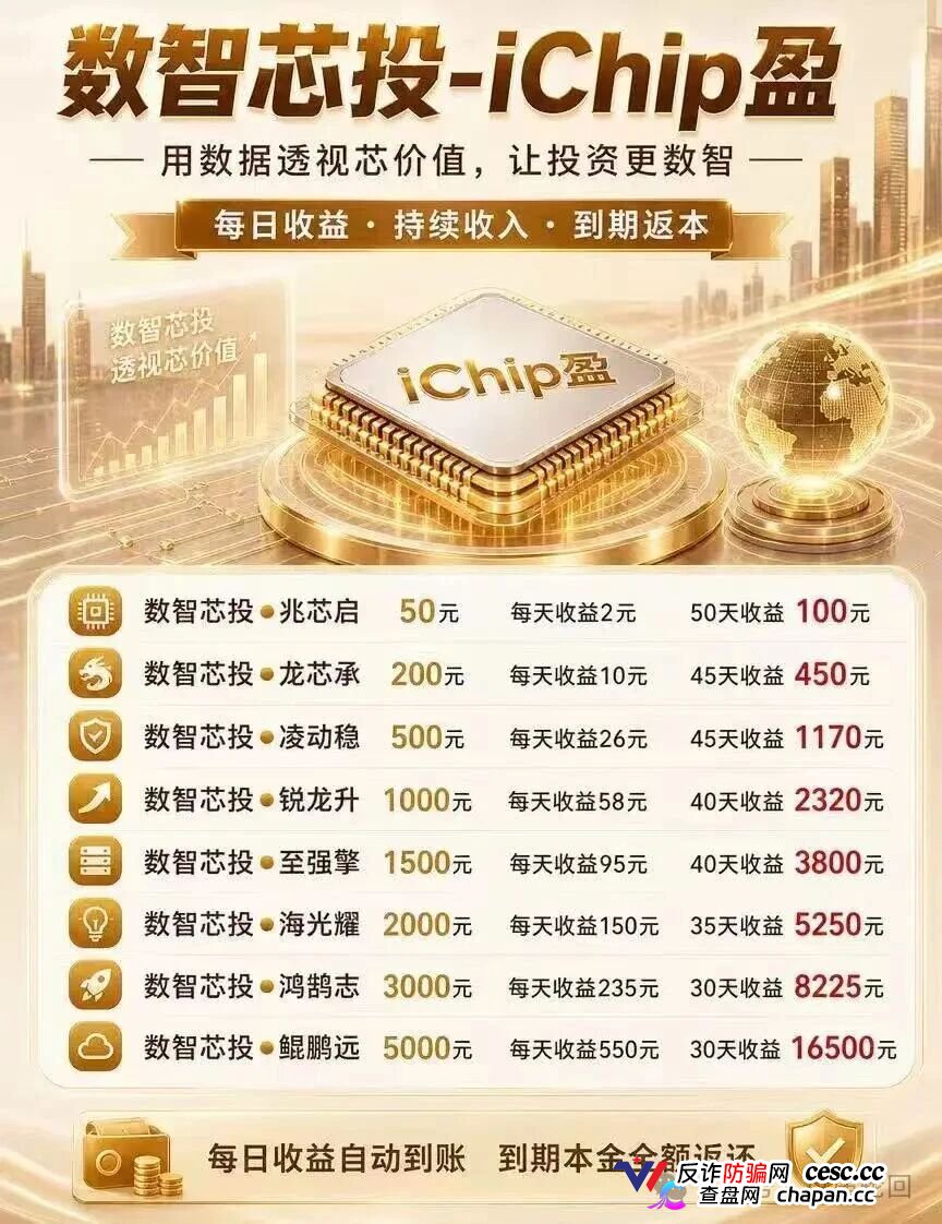 投5000日赚550,年化超4000%|数智芯投的“芯片投资”,买的不是芯片,是下一批